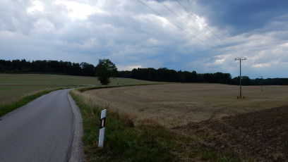 Kurz vor Leutstetten führt die Straße über Felder und Wiesen.