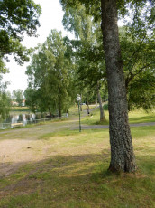 Der Campingplatz geht direkt in den Park am See über.