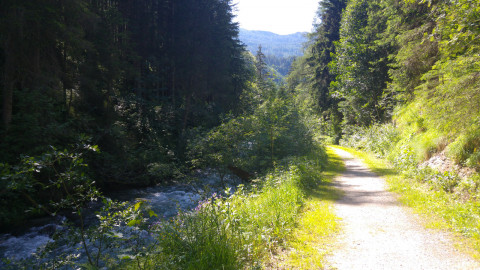 Dieser schöne Weg führt vom Campingplatz zum Ort Mauterndorf